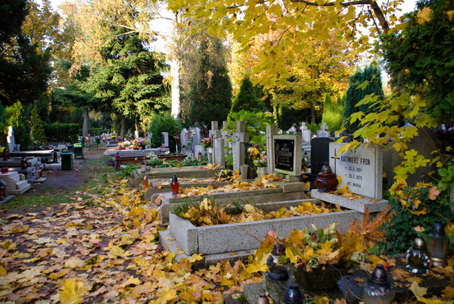 W okresie Wszystkich Świętych wokół wrocławskich cmentarzy zostaną wprowadzone zmiany w organizacji ruchu
